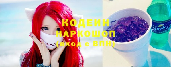хмурый Гусиноозёрск