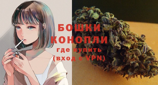 винт Гусь-Хрустальный