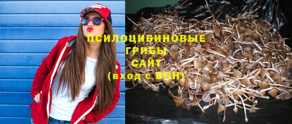 винт Гусь-Хрустальный