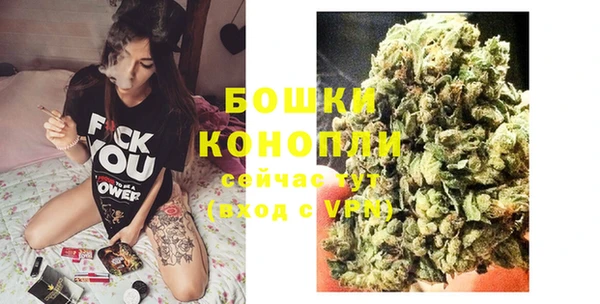 винт Гусь-Хрустальный