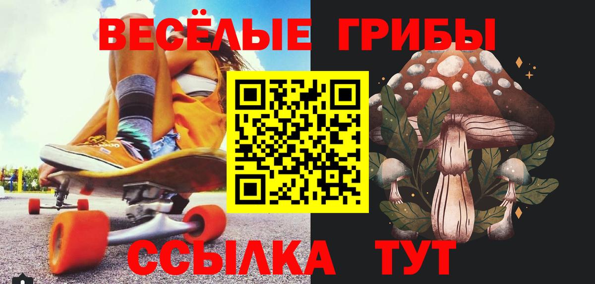 Галлюциногенные грибы Cubensis Мценск
